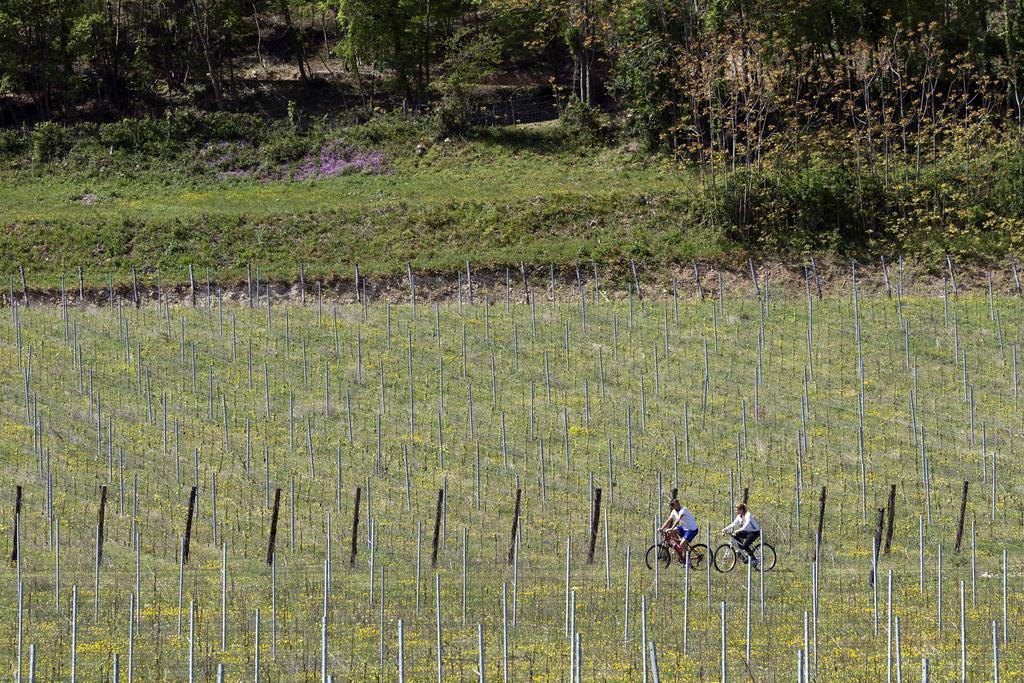 Podere Castagne Mezzane di Sotto Extérieur photo