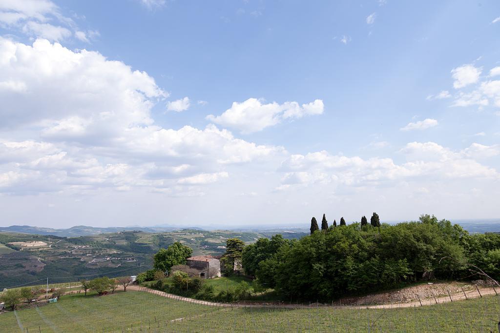 Podere Castagne Mezzane di Sotto Extérieur photo