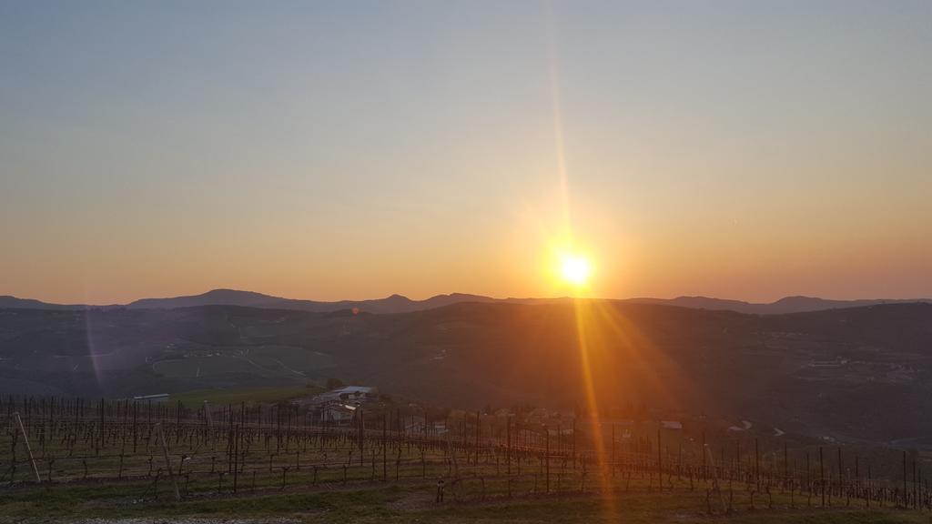 Podere Castagne Mezzane di Sotto Extérieur photo