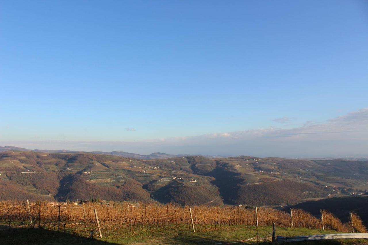 Podere Castagne Mezzane di Sotto Extérieur photo