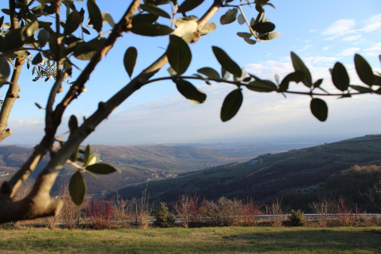 Podere Castagne Mezzane di Sotto Extérieur photo